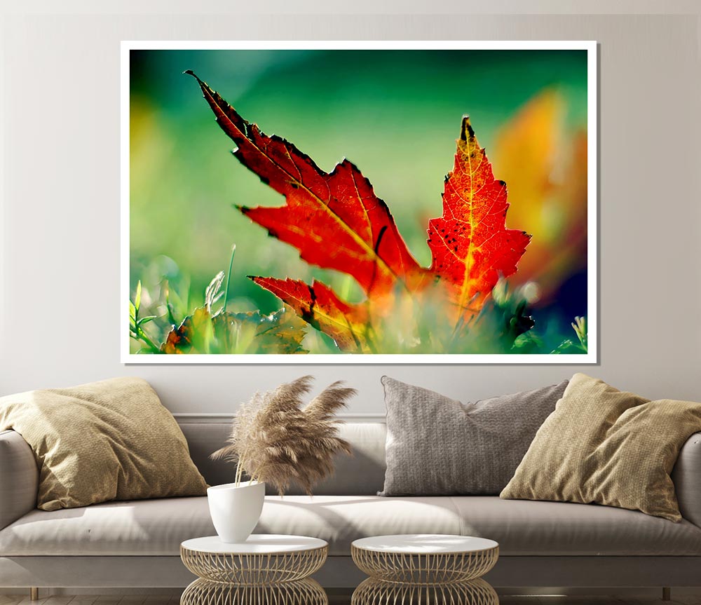 Autumn Leaf Print Poster Wall Art