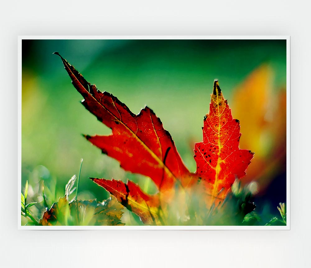 Autumn Leaf Print Poster Wall Art