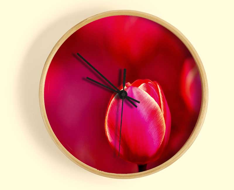 Pink Tulip Abstract Clock - Wallart-Direct UK