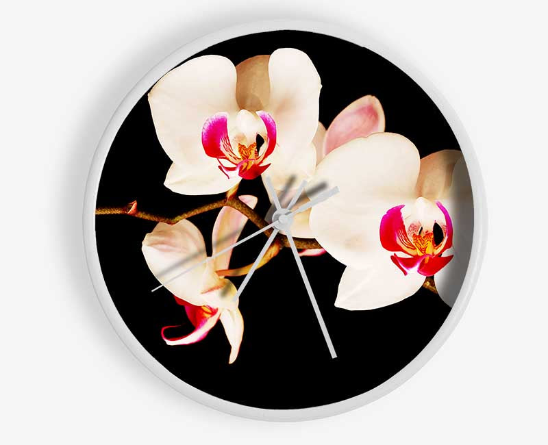 Butterfly Orchid Petals Clock - Wallart-Direct UK