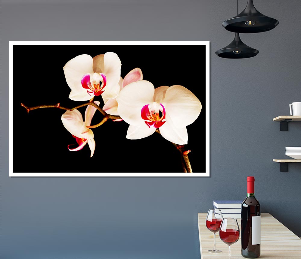 Butterfly Orchid Petals Print Poster Wall Art