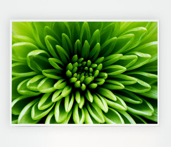 Green Centre Print Poster Wall Art