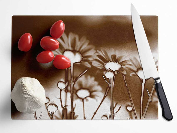 X-Ray Daisys Brown Glass Chopping Board