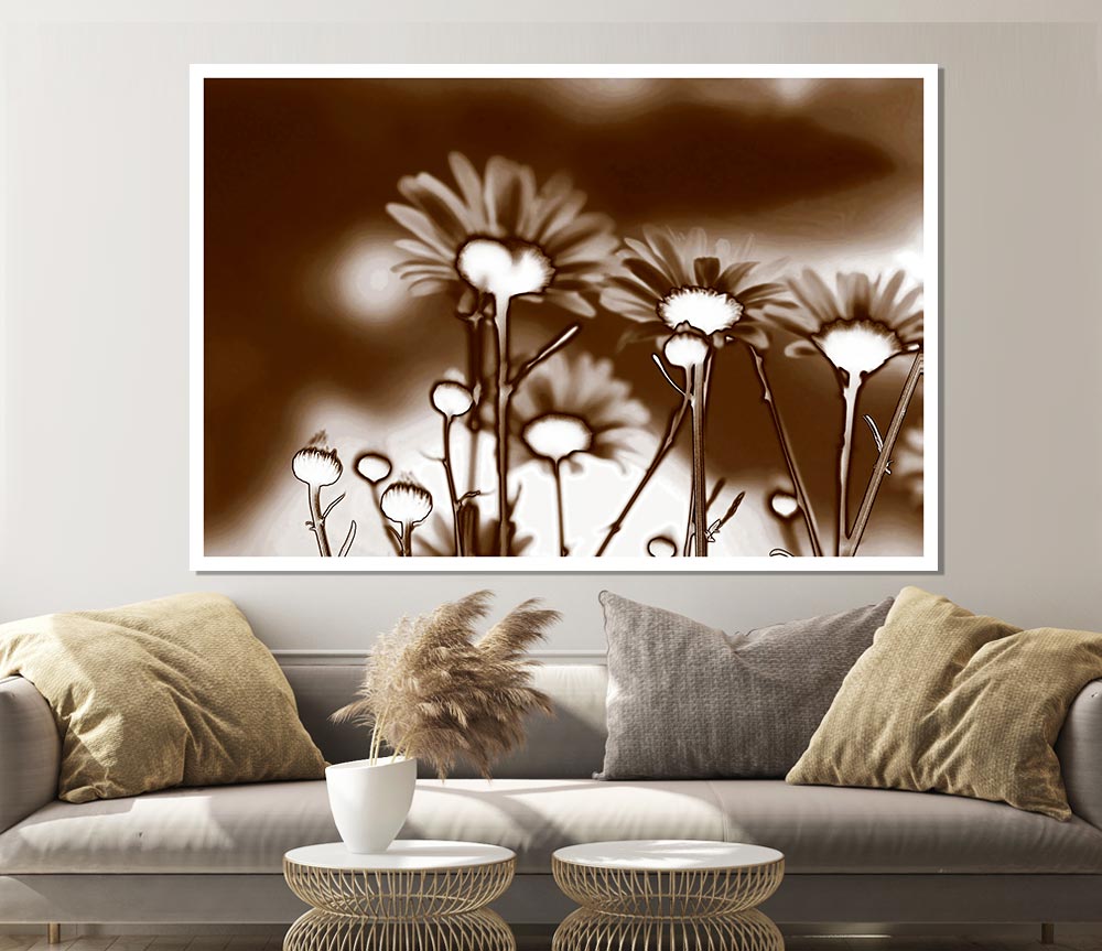 X Ray Daisys Brown Print Poster Wall Art