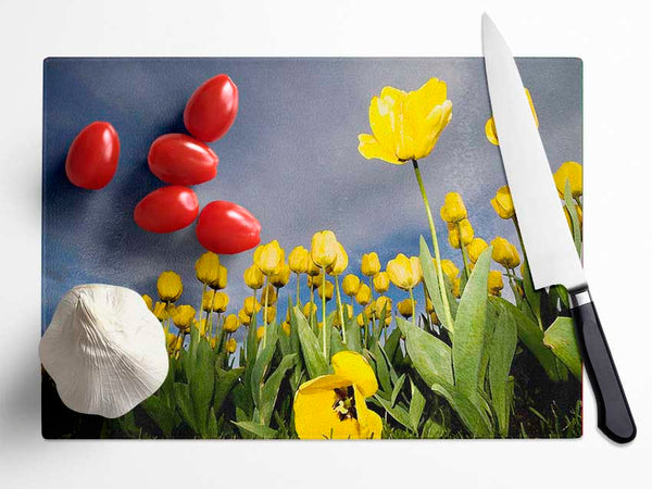 Yellow Tulip Field Storm Glass Chopping Board