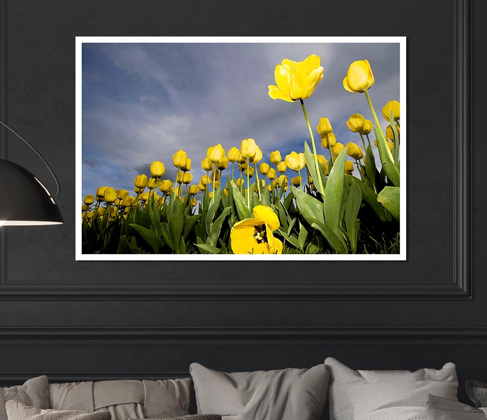 Yellow Tulip Field Storm Print Poster Wall Art