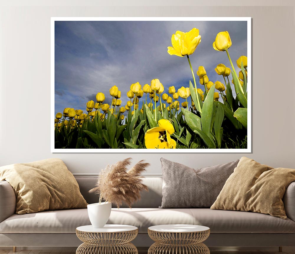 Yellow Tulip Field Storm Print Poster Wall Art