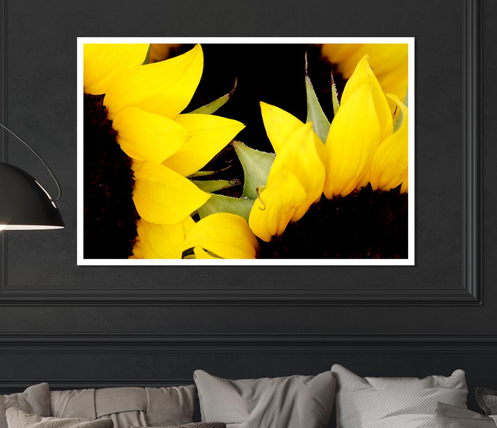 Yellow Sunflower Twins Close Up Print Poster Wall Art