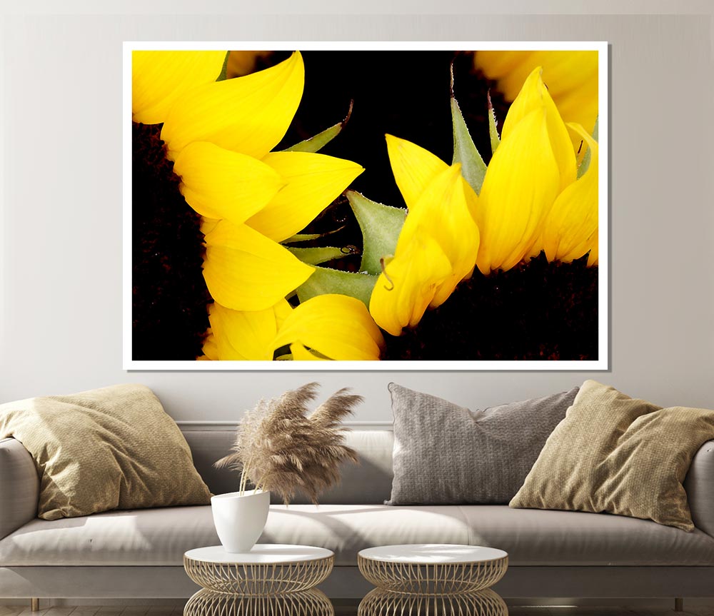 Yellow Sunflower Twins Close Up Print Poster Wall Art