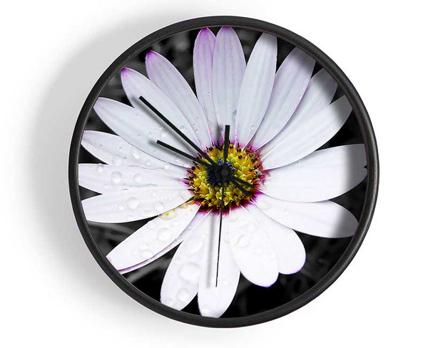 White Daisy On B n W Clock - Wallart-Direct UK