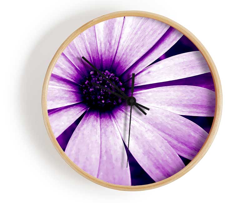 Purple Daisy Petals Clock - Wallart-Direct UK