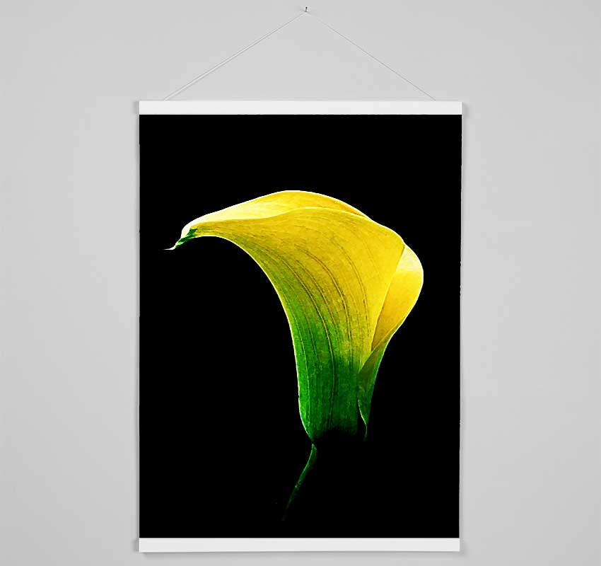 Stunning Night Lily Hanging Poster - Wallart-Direct UK