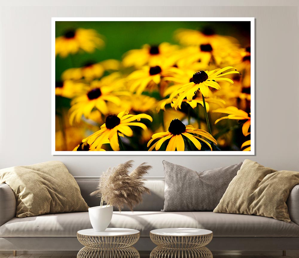 Yellow Daisy Pom Poms Print Poster Wall Art