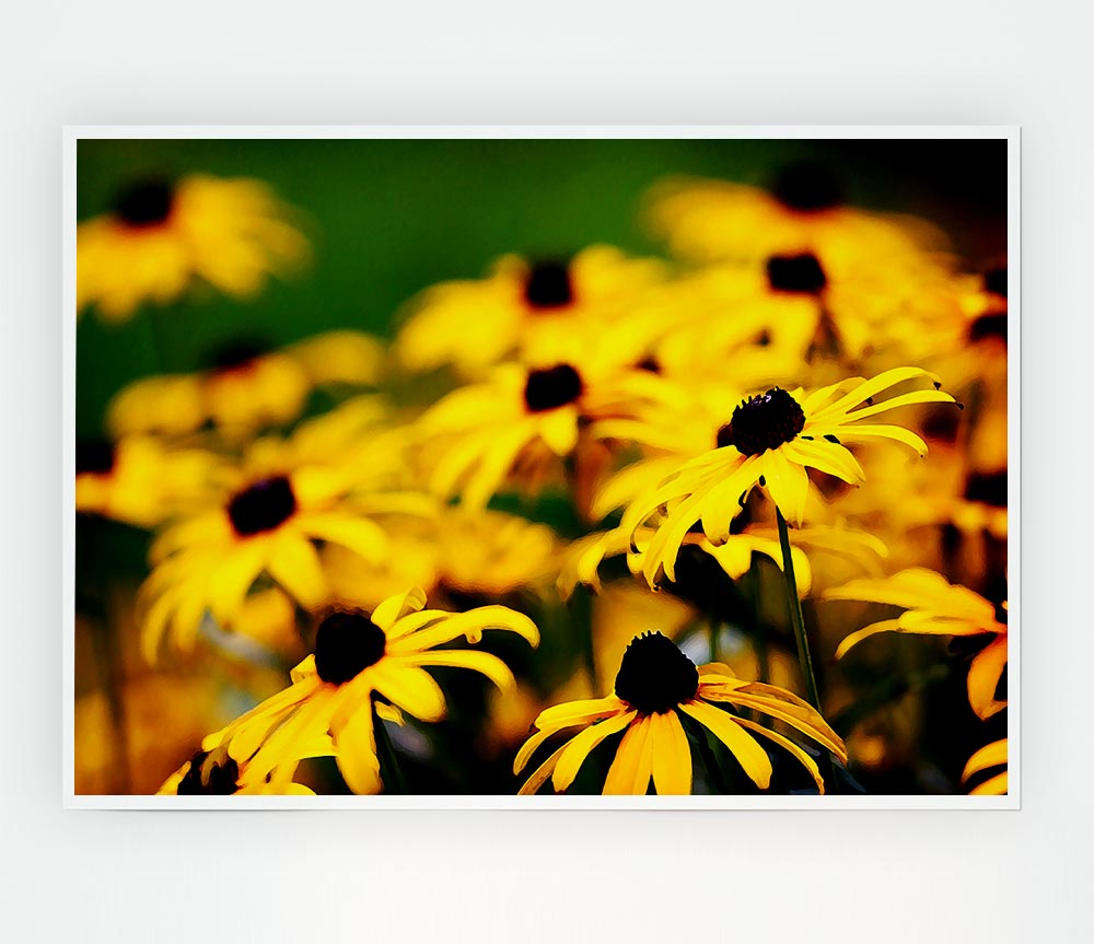 Yellow Daisy Pom Poms Print Poster Wall Art