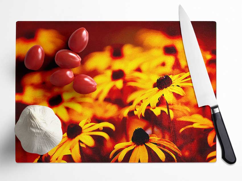 Daisies In Golden Sunlight Glass Chopping Board