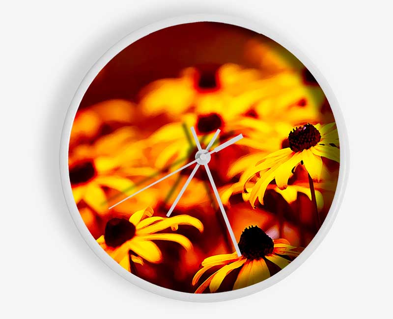 Daisies In Golden Sunlight Clock - Wallart-Direct UK