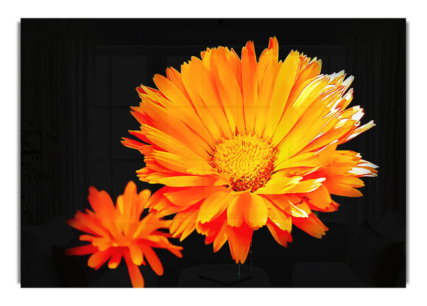 Vibrant Orange Gerberas