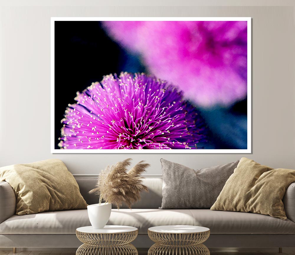 Cerise Pink Pom Poms Print Poster Wall Art