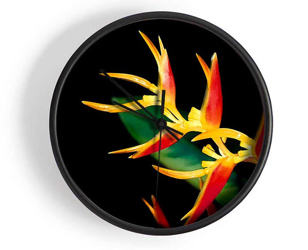 Bird Of Paradise In Sunlight Clock - Wallart-Direct UK