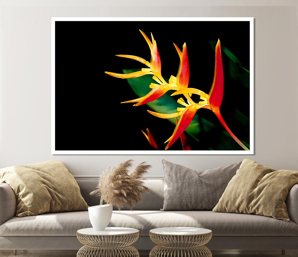 Bird Of Paradise In Sunlight Print Poster Wall Art