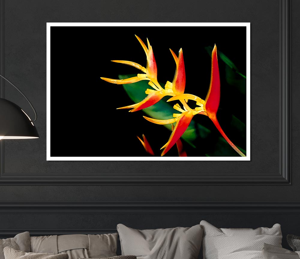 Bird Of Paradise In Sunlight Print Poster Wall Art