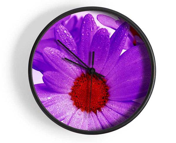 Purple Dew Drop Daisys Clock - Wallart-Direct UK