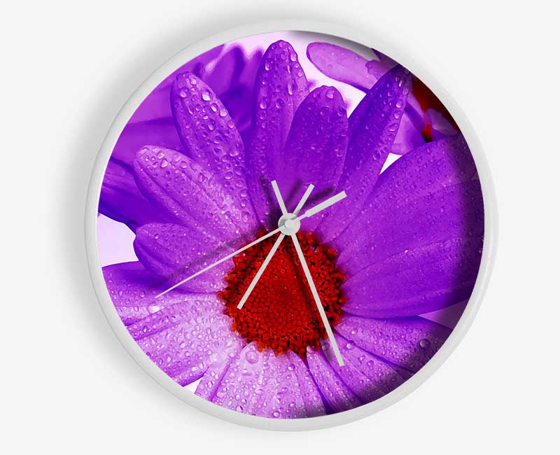 Purple Dew Drop Daisys Clock - Wallart-Direct UK