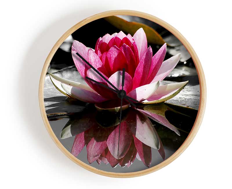 Pink Water Lily Reflections B n W Clock - Wallart-Direct UK