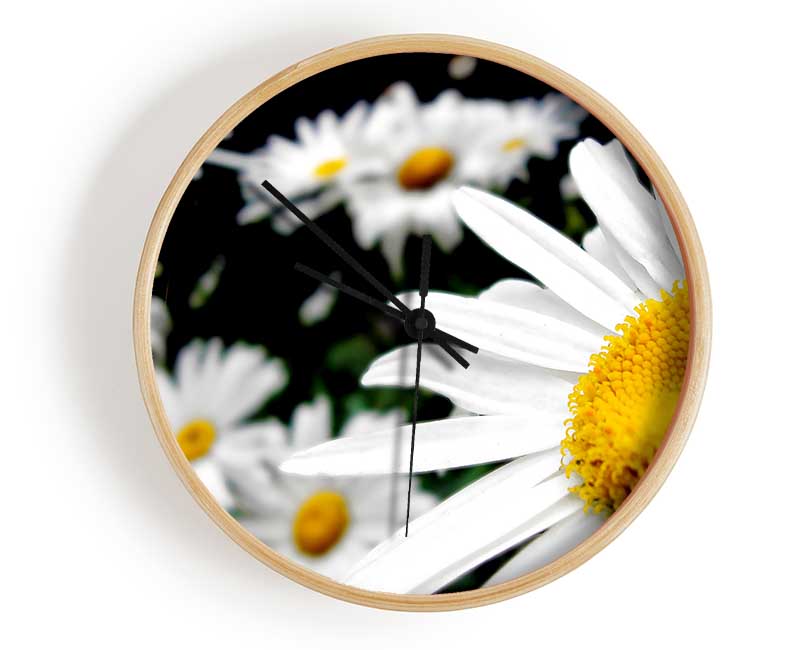 White Daisy Galore Clock - Wallart-Direct UK