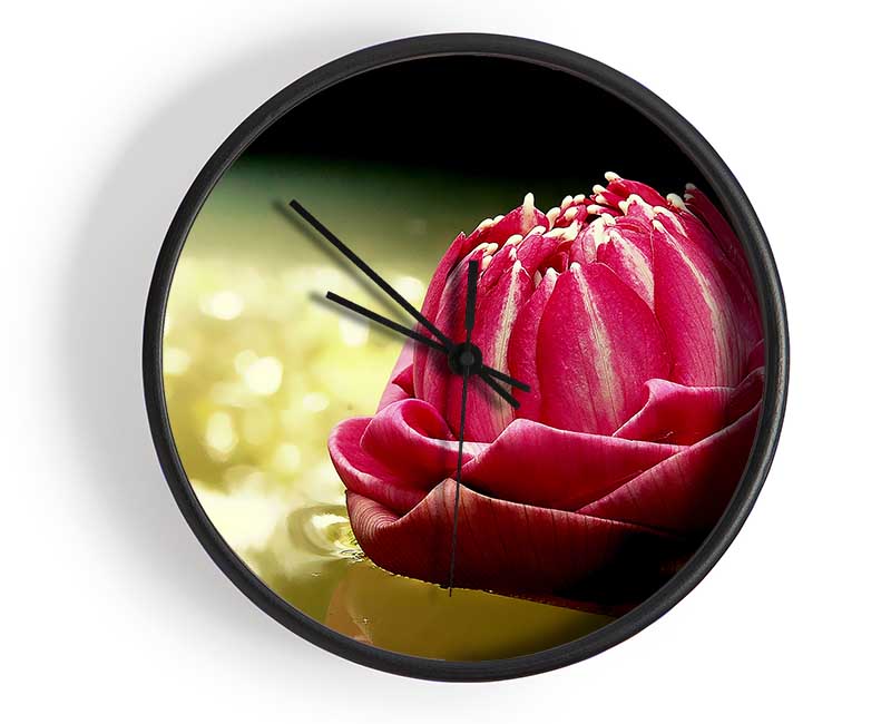 Pink Water Lily Sparkle Clock - Wallart-Direct UK