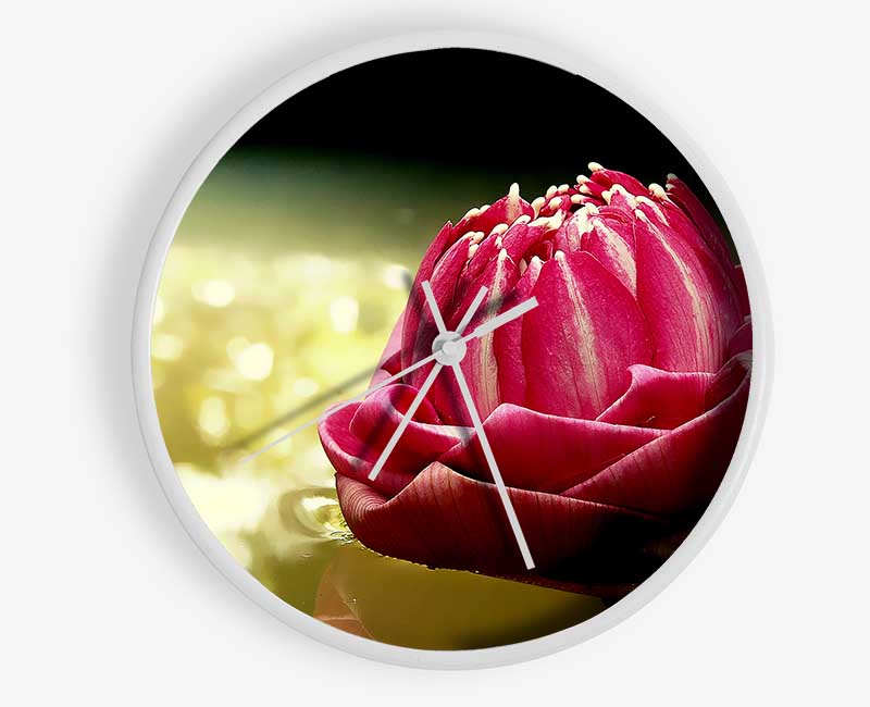 Pink Water Lily Sparkle Clock - Wallart-Direct UK