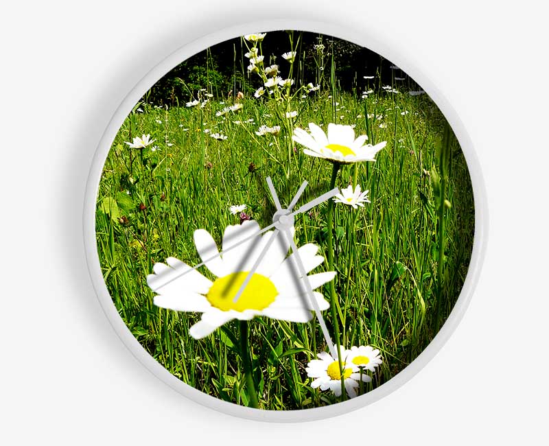 Daisy Field Clock - Wallart-Direct UK