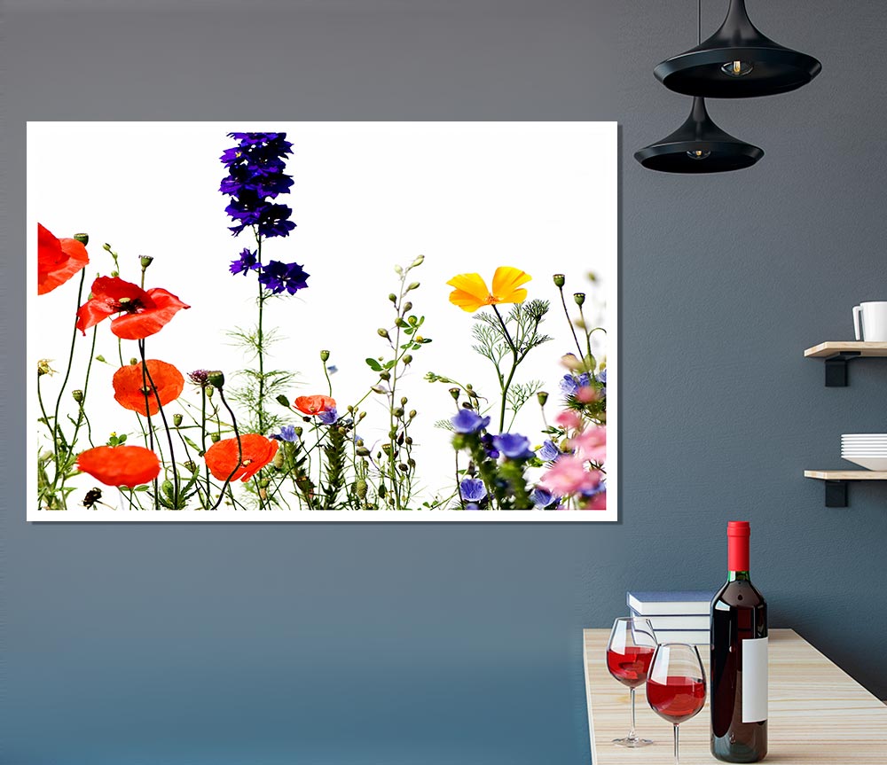 Wild Flower Garden In Bloom Print Poster Wall Art