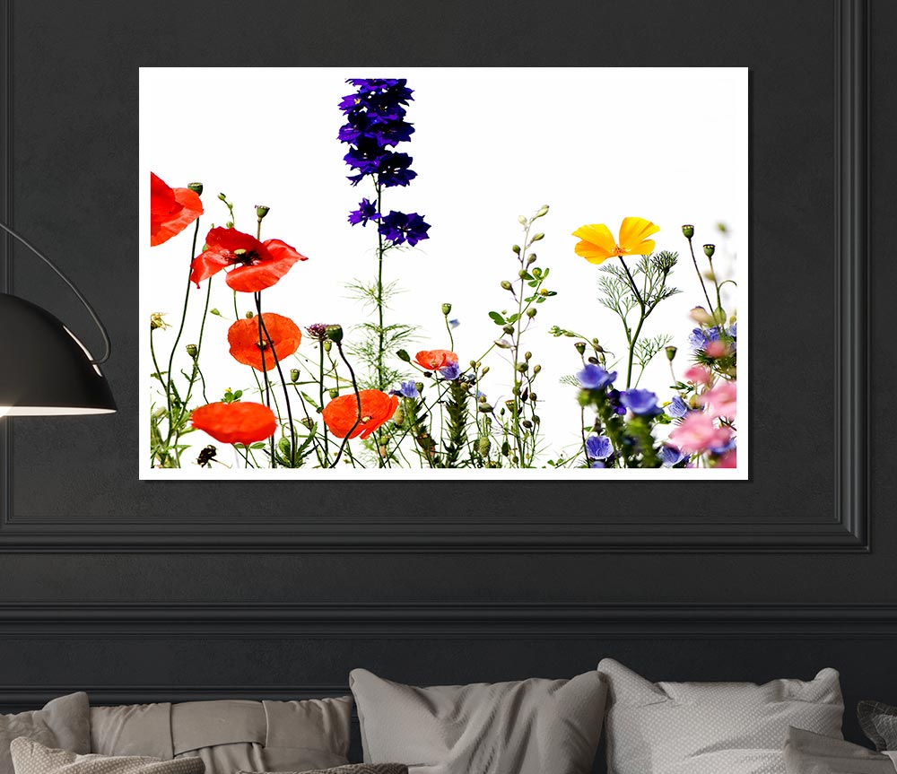 Wild Flower Garden In Bloom Print Poster Wall Art