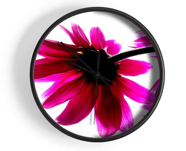 Stunning Pink Petals Bathed In Light Clock - Wallart-Direct UK