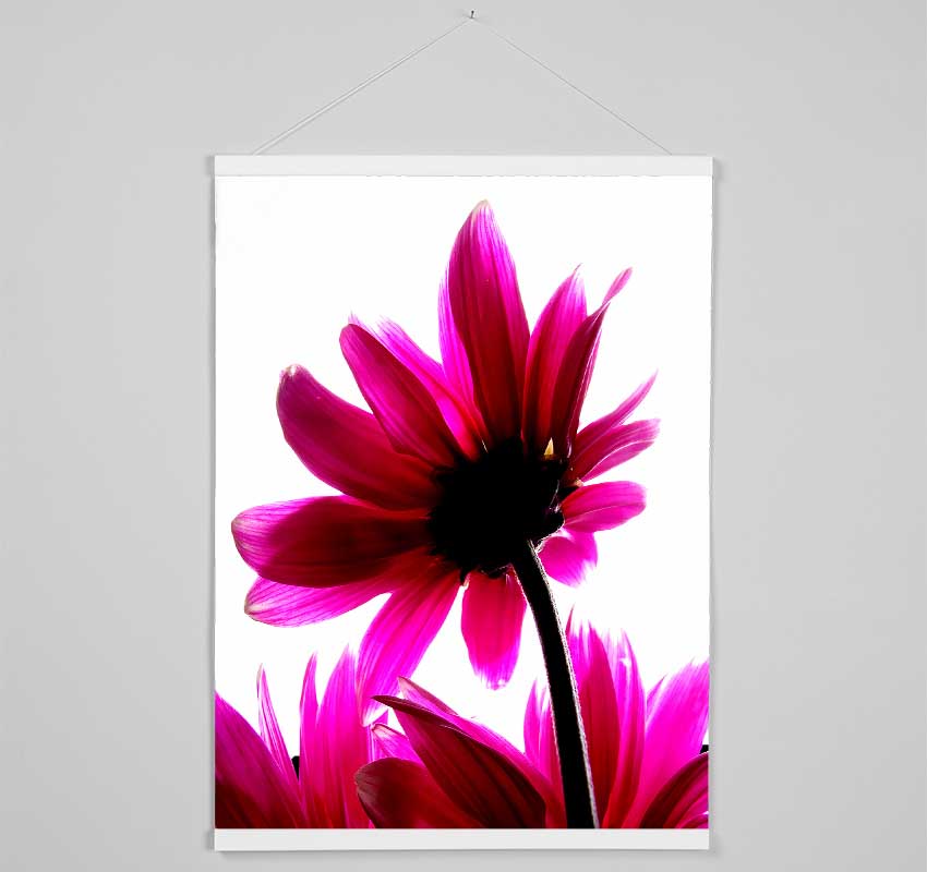 Delicate Pink Hanging Poster - Wallart-Direct UK