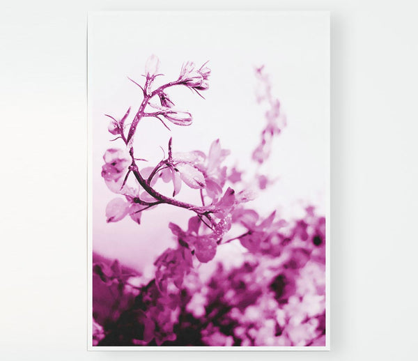 Cherry Blossom Print Poster Wall Art