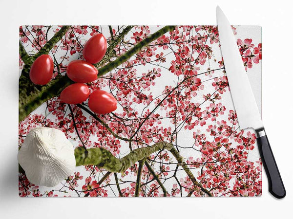 The Cherry Blossom Tree Glass Chopping Board