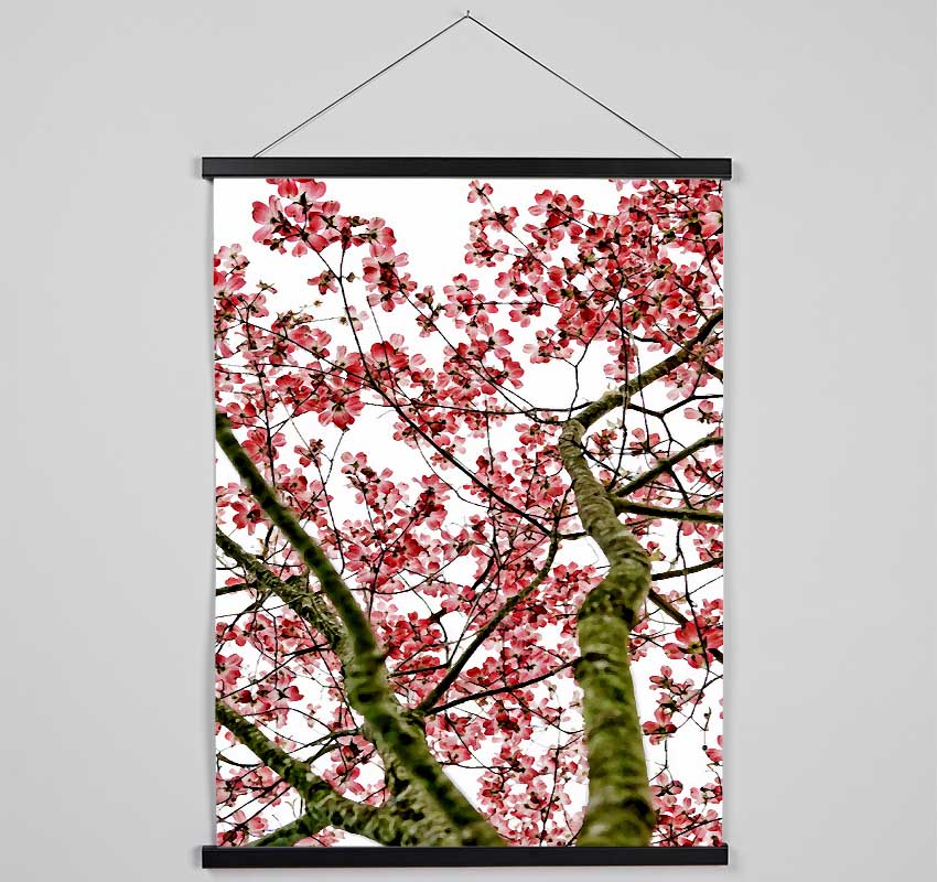 Pink Cherry Blossom Tree Hanging Poster - Wallart-Direct UK