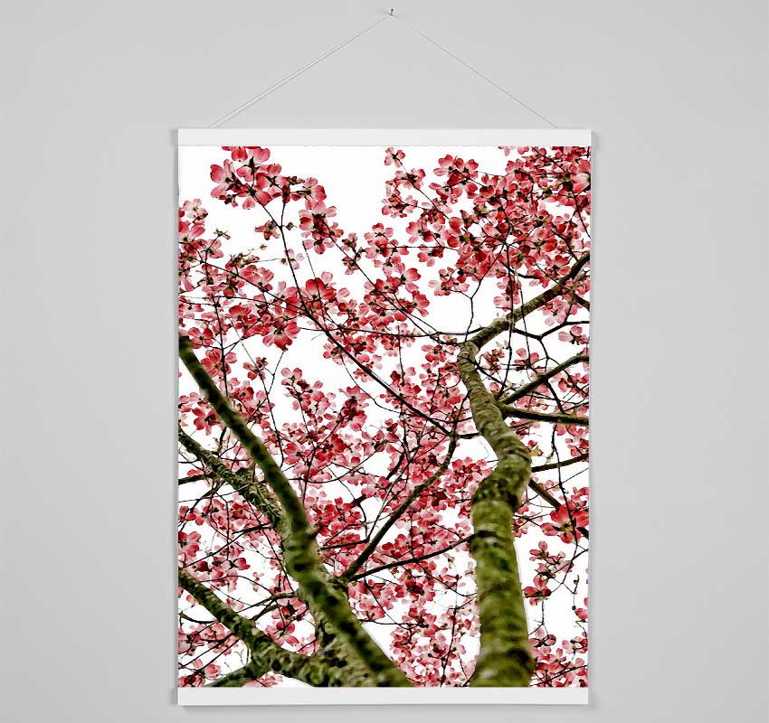 Pink Cherry Blossom Tree Hanging Poster - Wallart-Direct UK