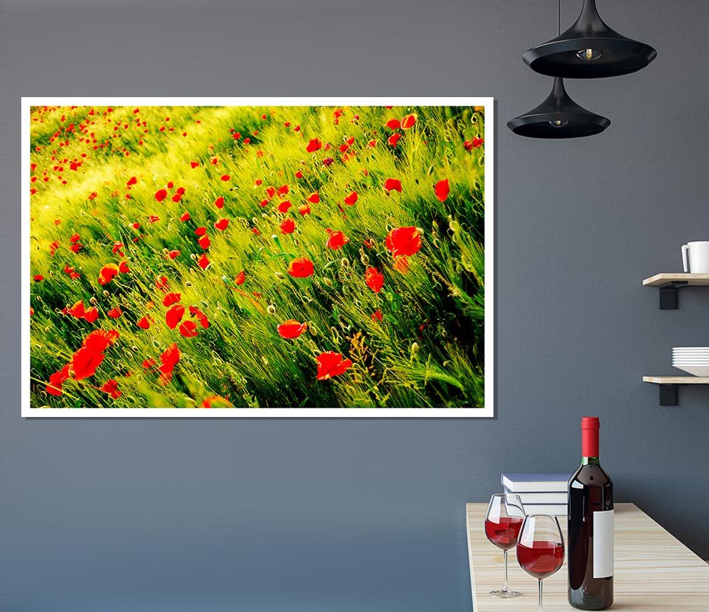 Wild Poppy Field Print Poster Wall Art