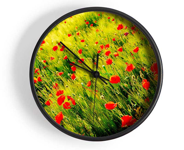 Wild Poppy Field Clock - Wallart-Direct UK