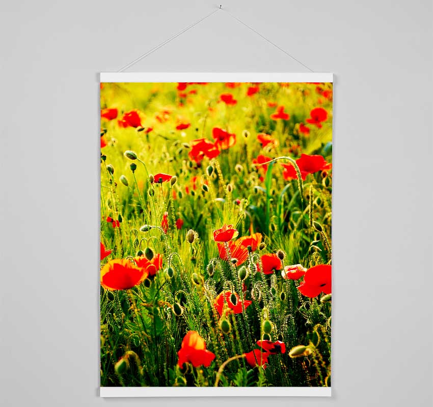 Poppy Field Sunlight Hanging Poster - Wallart-Direct UK