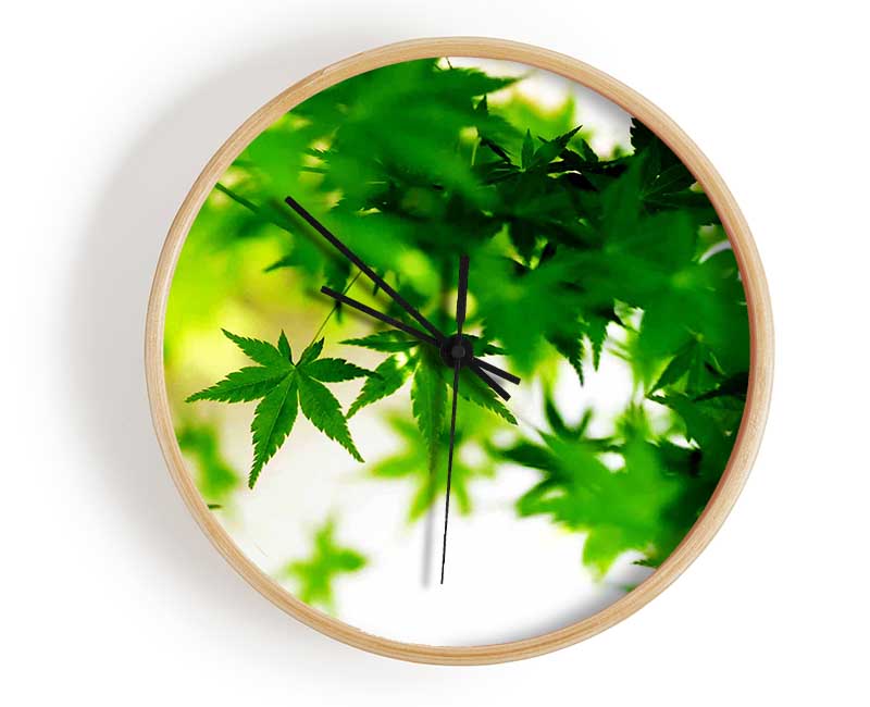 Green Leaves Bathed In Sunlight Clock - Wallart-Direct UK