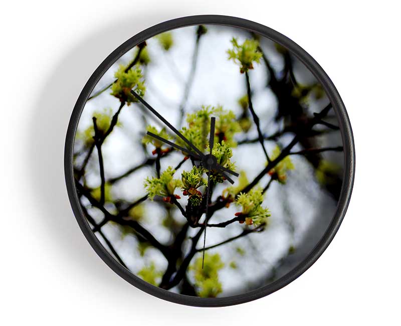 The First Signs Of Spring Clock - Wallart-Direct UK