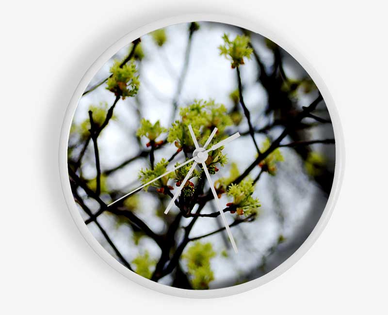 The First Signs Of Spring Clock - Wallart-Direct UK