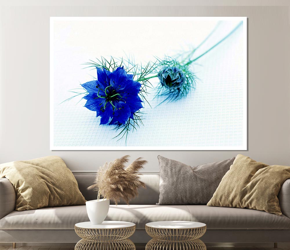 Blue Passion Print Poster Wall Art