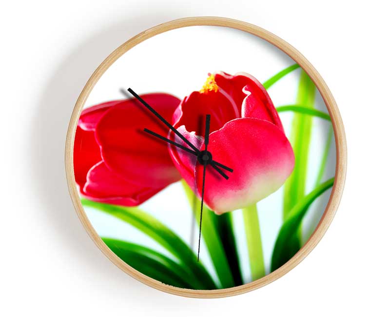 Pink Tulip Duo Clock - Wallart-Direct UK