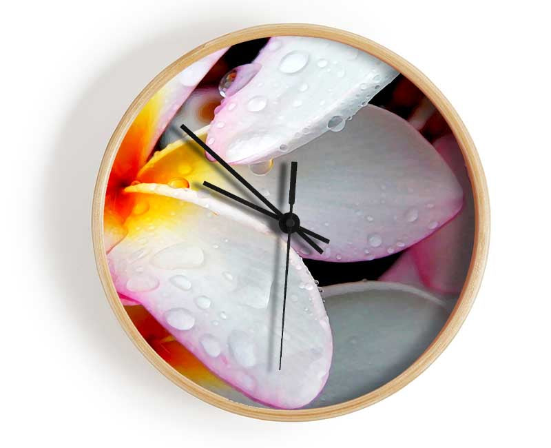 White Petal Dewdrop Clock - Wallart-Direct UK