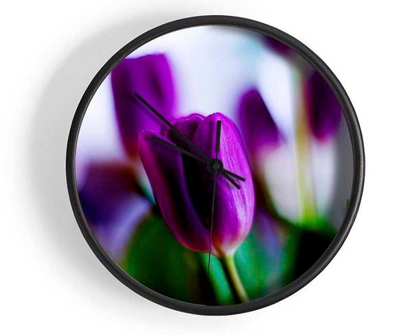 Purple Tulips Clock - Wallart-Direct UK